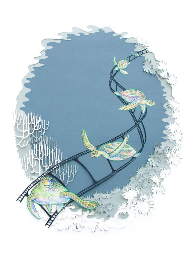 katherine molter art paper collage sea turtles