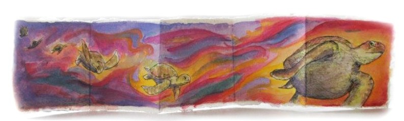 katherine-molter-art-watercolor-nature-sea-turtles-sequential.jpg