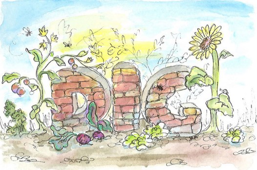 katherine molter art watercolor postcard plants dig