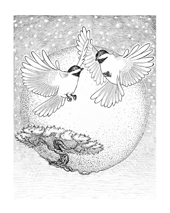 katherine molter art wedding invitation birds tree chickadees ink